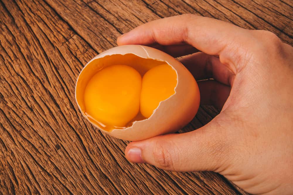 the-spiritual-meaning-of-a-double-yolk-egg