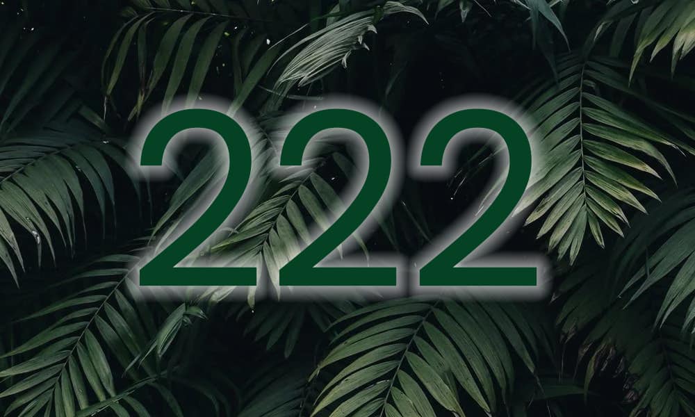 angel number 222 in green
