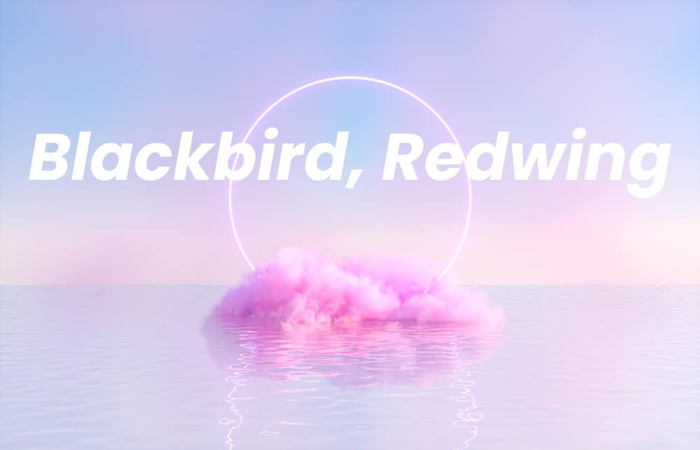 Picture of a spiritual background with the words Blackbird, Redwing written on it