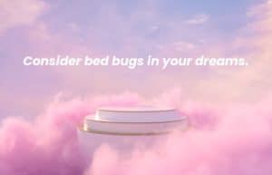 Picture of a spiritual background with the words Consider bed bugs in your dreams. written on it