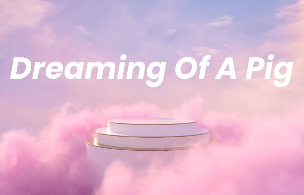 Picture of a spiritual background with the words Dreaming Of A Pig written on it