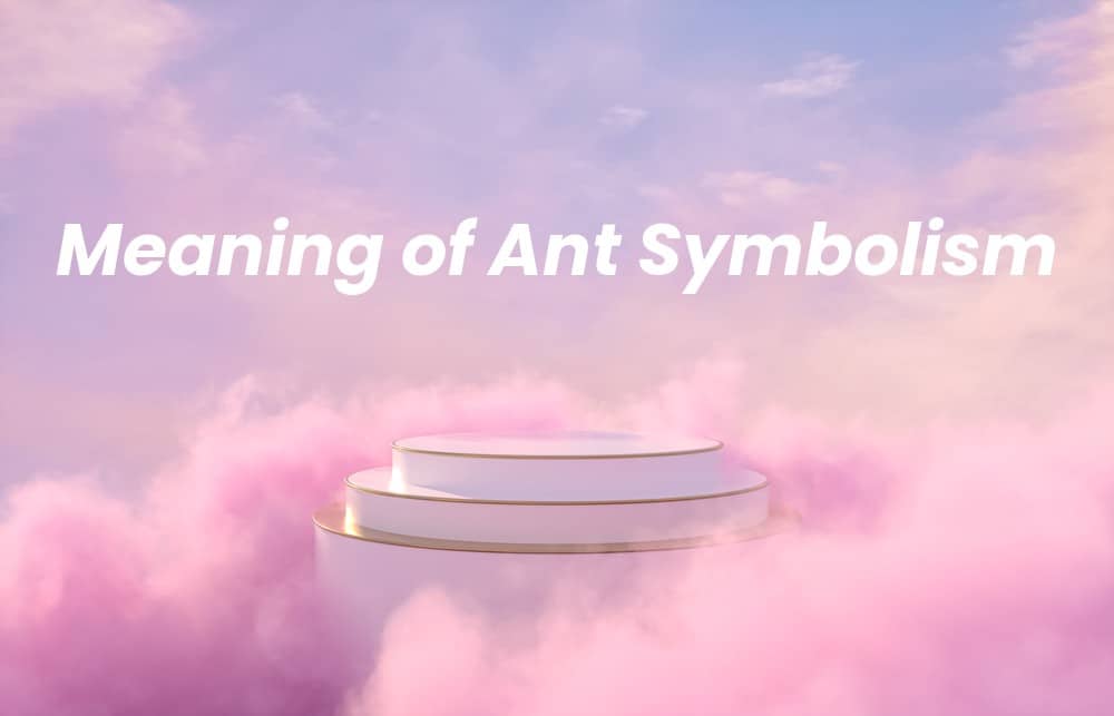 Picture of a spiritual background with the words Meaning of Ant Symbolism written on it