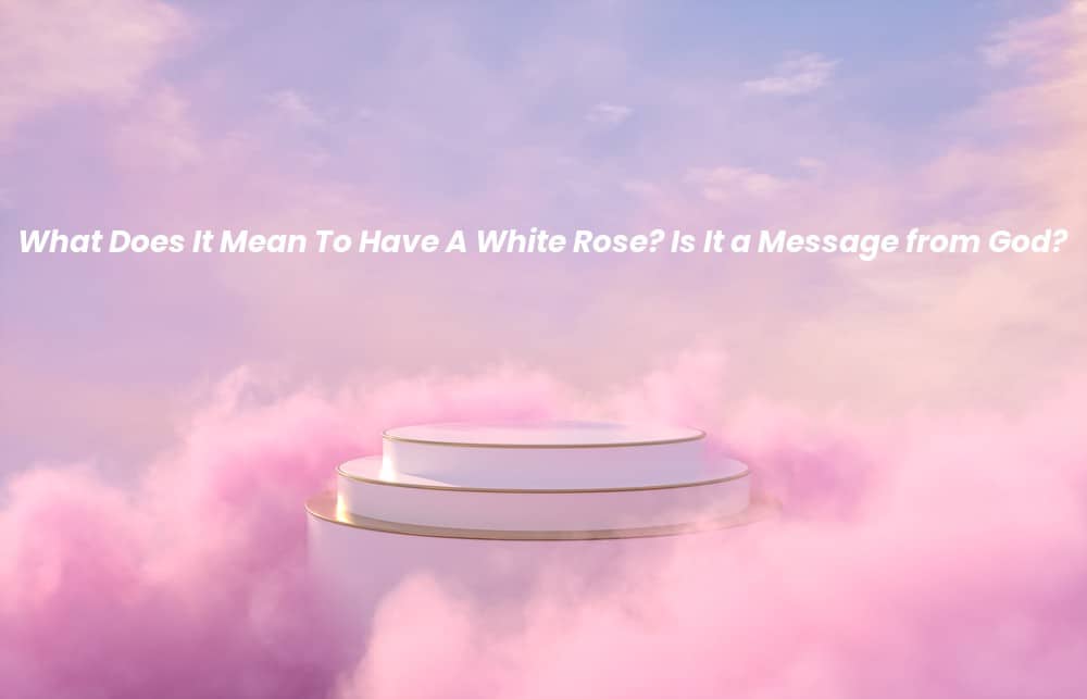 Picture of a spiritual background with the words What Does It Mean To Have A White Rose? Is It a Message from God? written on it